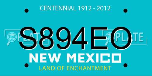 S894EO New Mexico License Plate