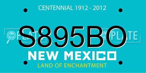 S895BO New Mexico License Plate