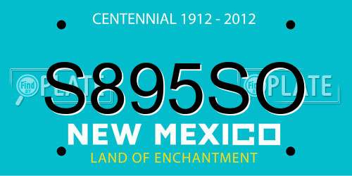 S895SO New Mexico License Plate