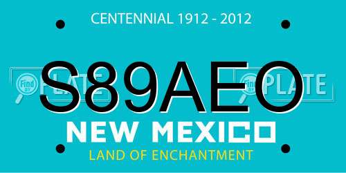 S89AEO New Mexico License Plate