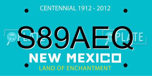 S89AEQ New Mexico License Plate