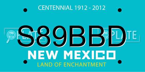 S89BBD New Mexico License Plate