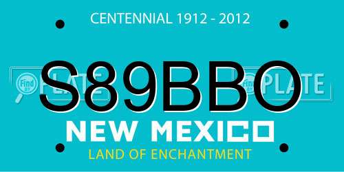 S89BBO New Mexico License Plate
