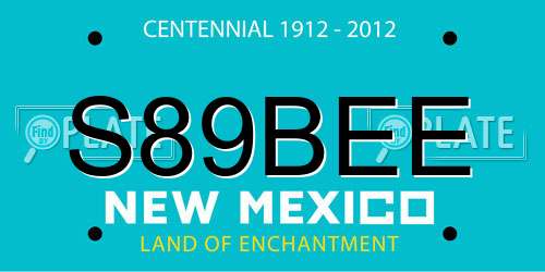 S89BEE New Mexico License Plate