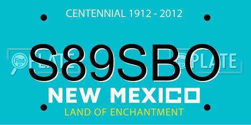 S89SBO New Mexico License Plate