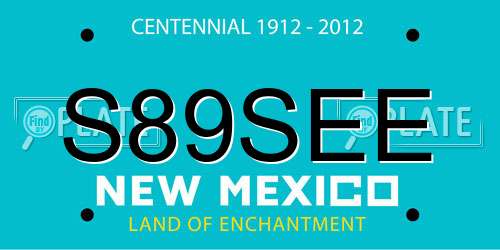 S89SEE New Mexico License Plate