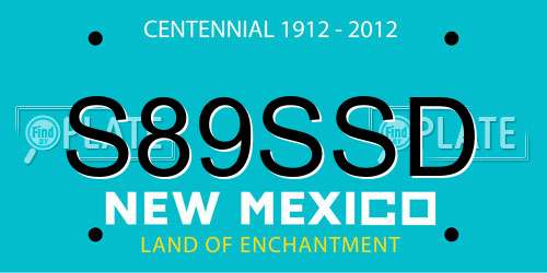 S89SSD New Mexico License Plate