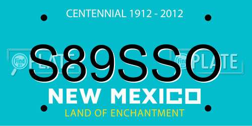 S89SSO New Mexico License Plate