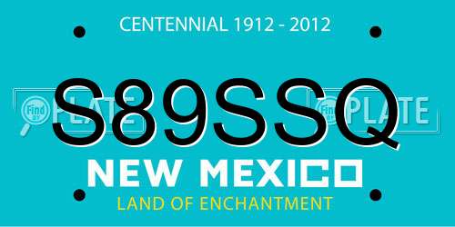 S89SSQ New Mexico License Plate