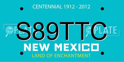 S89TTC New Mexico License Plate