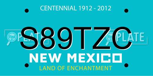 S89TZC New Mexico License Plate