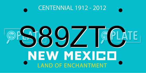 S89ZTC New Mexico License Plate