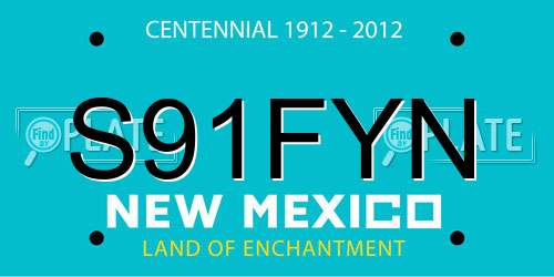 S91FYN New Mexico License Plate