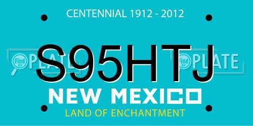 S95HTJ New Mexico License Plate