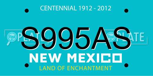S995AS New Mexico License Plate