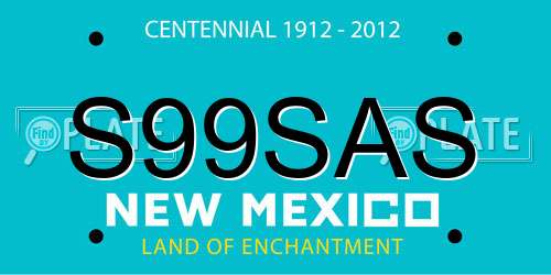 S99SAS New Mexico License Plate