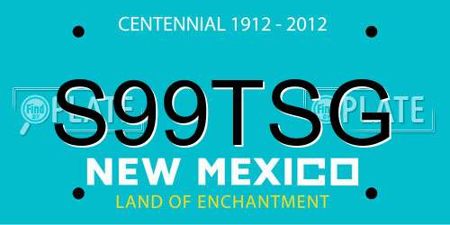 S99TSG New Mexico License Plate