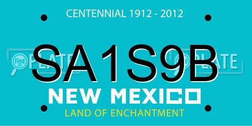 SA1S9B New Mexico License Plate