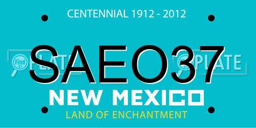 SAEO37 New Mexico License Plate