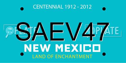 SAEV47 New Mexico License Plate