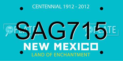 SAG715 New Mexico License Plate