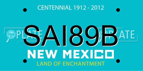 SAI89B New Mexico License Plate