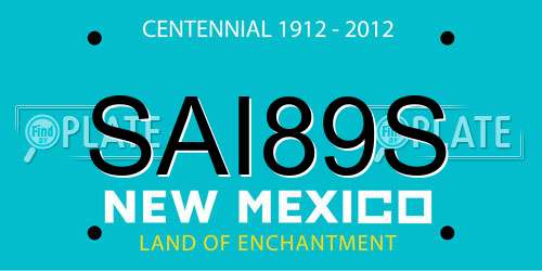 SAI89S New Mexico License Plate