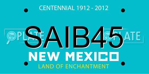 SAIB45 New Mexico License Plate