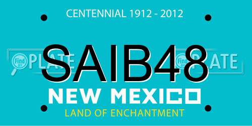 SAIB48 New Mexico License Plate