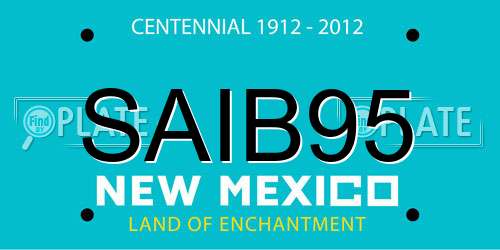 SAIB95 New Mexico License Plate