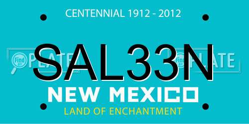 SAL33N New Mexico License Plate
