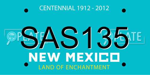 SAS135 New Mexico License Plate