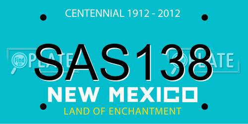 SAS138 New Mexico License Plate