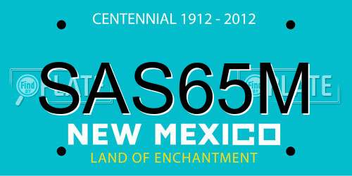 SAS65M New Mexico License Plate