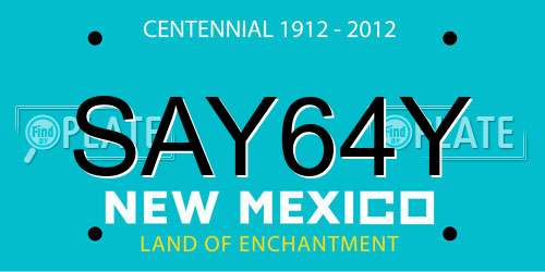 SAY64Y New Mexico License Plate