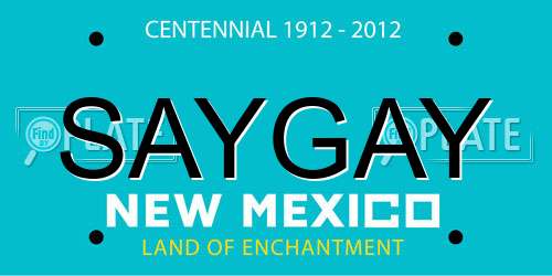 SAYGAY New Mexico License Plate