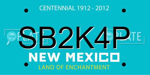 SB2K4P New Mexico License Plate