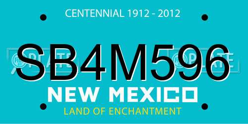 SB4M596 New Mexico License Plate