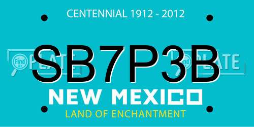 SB7P3B New Mexico License Plate