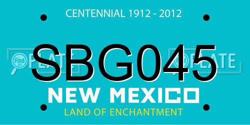 SBG045 New Mexico License Plate
