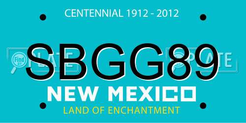SBGG89 New Mexico License Plate