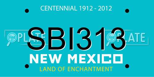 SBI313 New Mexico License Plate