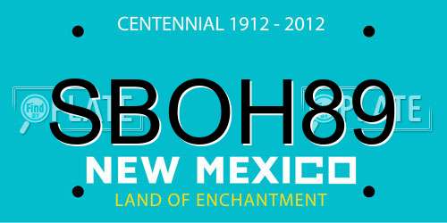SBOH89 New Mexico License Plate