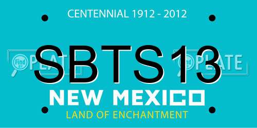 SBTS13 New Mexico License Plate