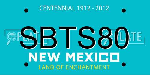 SBTS80 New Mexico License Plate
