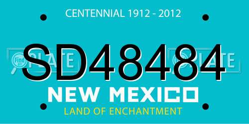 SD48484 New Mexico License Plate