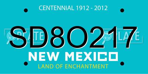 SD8O217 New Mexico License Plate