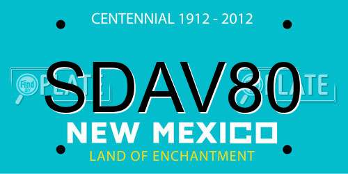SDAV80 New Mexico License Plate