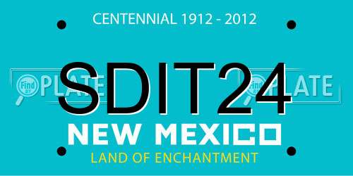 SDIT24 New Mexico License Plate