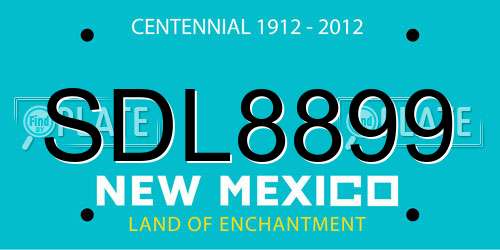 SDL8899 New Mexico License Plate